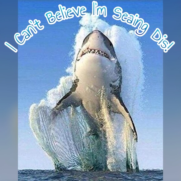 BOGOHALF ALL KIDS CLOSET - Picture 5 of 8